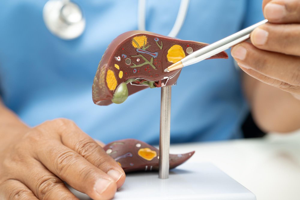 ما بعد الحقن الشرياني للكبد: التعافي والرعاية خطوة بخطوة