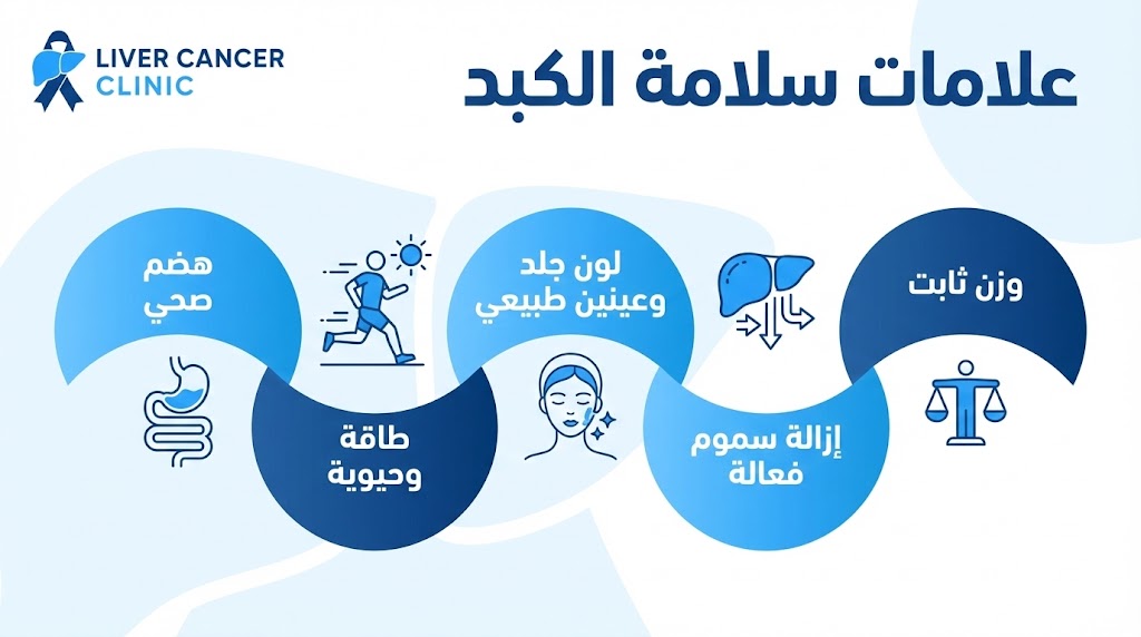 علامات سلامة الكبد: كيف تعرف أن جسمك يعمل بشكل طبيعي؟